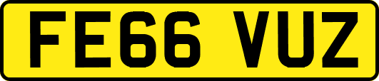 FE66VUZ