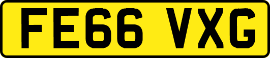 FE66VXG