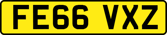 FE66VXZ