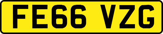 FE66VZG