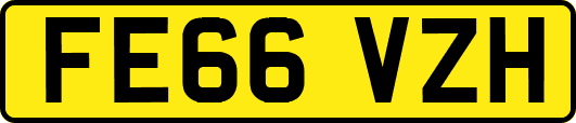 FE66VZH