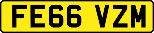 FE66VZM