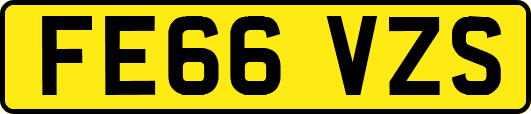 FE66VZS