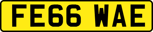 FE66WAE