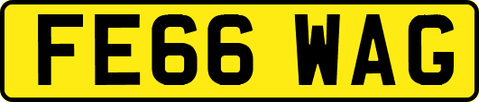 FE66WAG