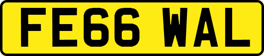 FE66WAL