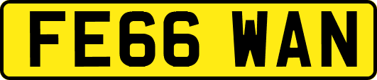 FE66WAN