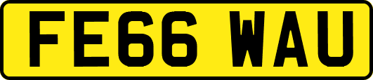FE66WAU