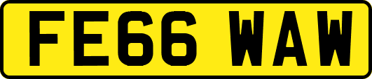 FE66WAW