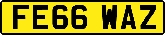 FE66WAZ