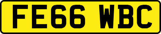 FE66WBC