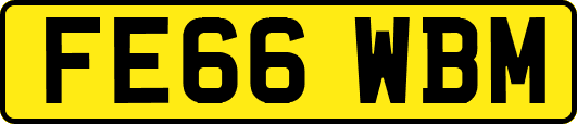 FE66WBM