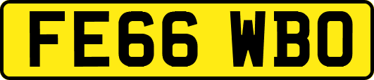 FE66WBO
