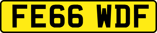 FE66WDF