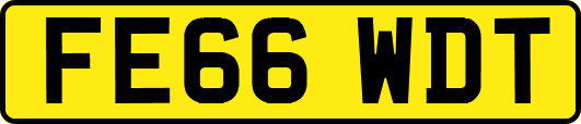 FE66WDT