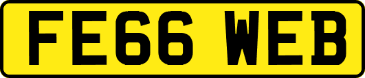 FE66WEB