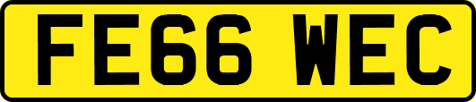 FE66WEC
