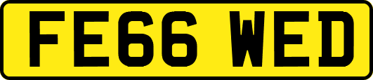 FE66WED
