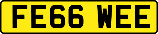 FE66WEE