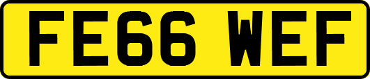 FE66WEF