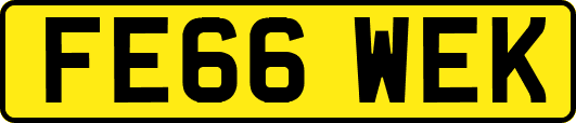 FE66WEK