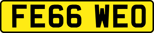 FE66WEO