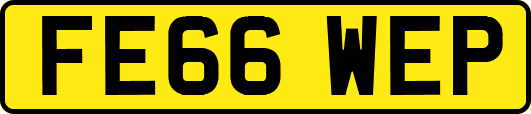 FE66WEP