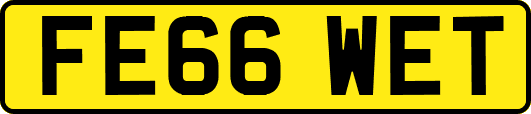 FE66WET