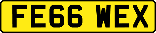 FE66WEX