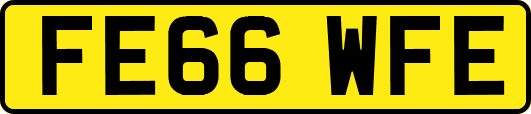 FE66WFE