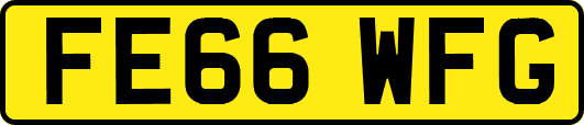 FE66WFG