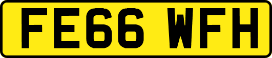 FE66WFH