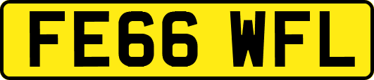 FE66WFL