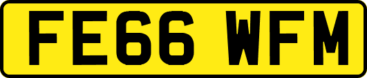 FE66WFM