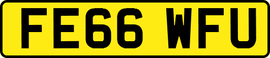 FE66WFU