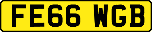 FE66WGB