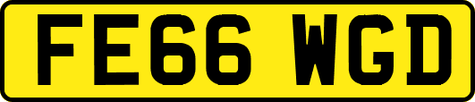 FE66WGD