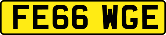 FE66WGE