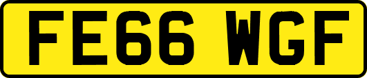 FE66WGF