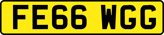 FE66WGG