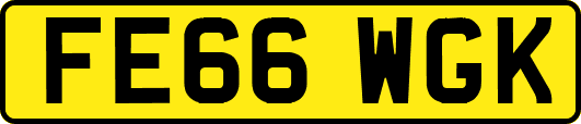 FE66WGK