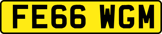 FE66WGM