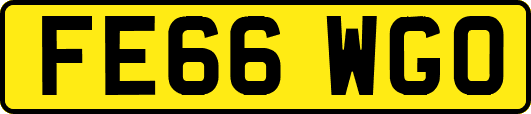 FE66WGO