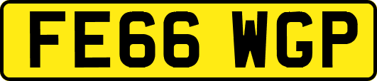 FE66WGP