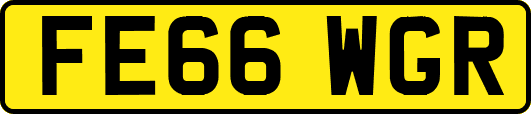 FE66WGR