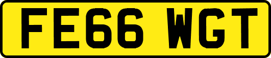 FE66WGT