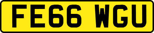FE66WGU