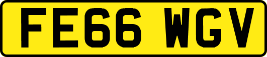 FE66WGV