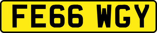 FE66WGY