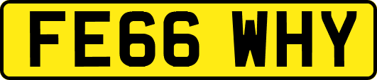 FE66WHY